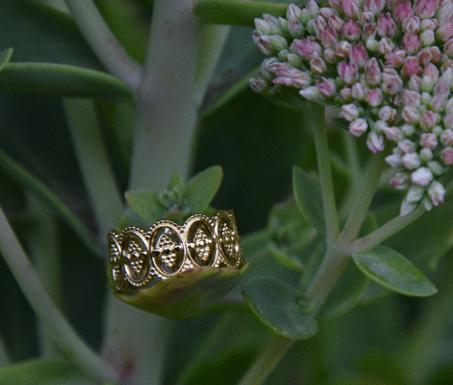 bague dorée accrochée sur une branche.