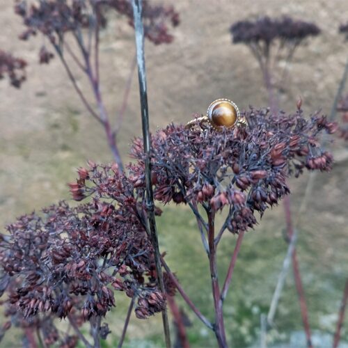 une bague avec une pierre posée sur une plante