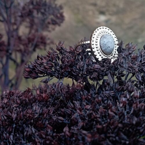 une bague avec une pierre posée sur une plante