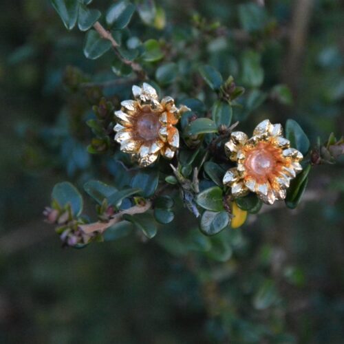 Boucles d'oreilles dorées à l'or fin et colorées en forme de fleur avec deux quartz fraise