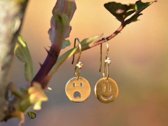 une paire de boucles d'oreilles dorées représentant des smileys accrochée sur une branche.