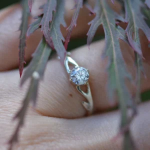 bague scintillans ramus en argent