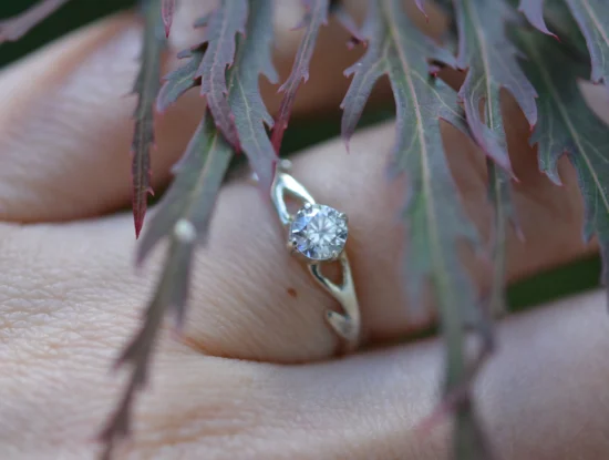 bague scintillans ramus en argent