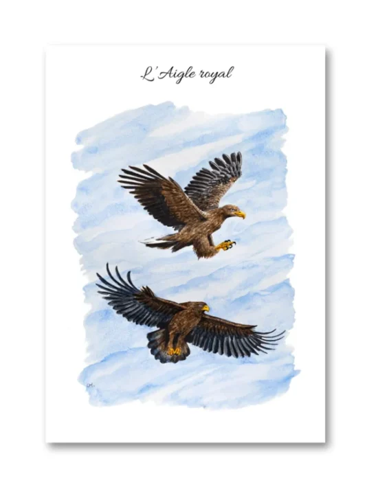 dessin L'Aigle royal en aquarelle