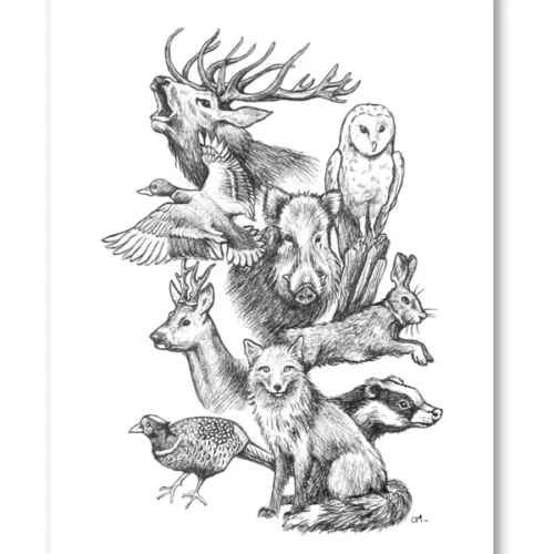 impression d'art format a6 les animaux des bois