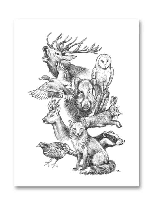 impression d'art format a6 les animaux des bois